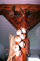 Mecklenburger Ferienhaus