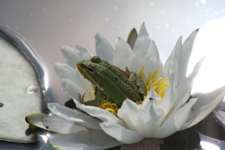 Keine Hektik im Urlaub