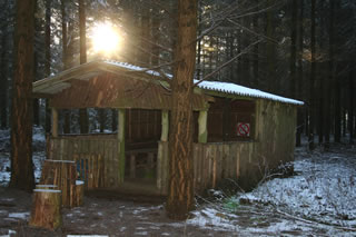 Mecklenburg Wald und Ferienhaus